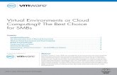 Virtual Environments or Cloud Computing? The Best Choice for SMBs