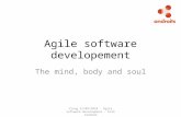 Agile software developement