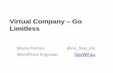 Virtual Company - Go Limitless