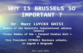 Marc luyckx  -  why is brussels so important