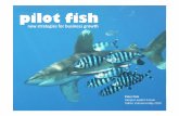 Pilot Fish ... new strategies for business growth