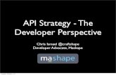 API Strategy - Developer Perspective