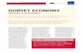 Dorset economy report 2013
