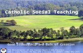 Catholic Social Teaching Good Stewardship Of Creation