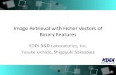 Image Retrieval with Fisher Vectors of Binary Features (MIRU'14)