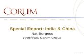 Special Report: M&A in India & China