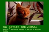 179 - Un gatito universal