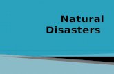 Natural disasters ellen meinecke