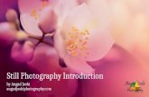 Still photography introduction