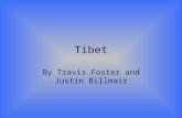Tibet project