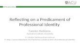 Predicament of professional identity