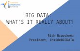 Big Data - What is it Really About?