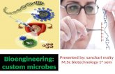 Bioengineering custom microbes, genetic engineering,bioremediation,bioprocess,biomedical engineering