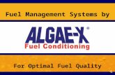 Algae- X Diesel Fule Conditioner