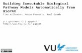 Building Executable Biological Pathway Models Automatically from BioPAX