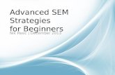 The Beginner's Guide to Advanced SEM - Nik Pasic