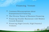 Financing  venture
