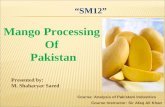 Mango Processing PPT of Pakistan