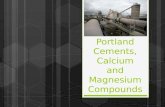 Portland Cements, Calcium and Magnesium Compounds