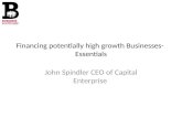 Financing potentially high growth Businesses