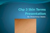 Chp 3 skin terms presentation