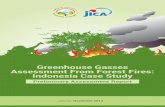 Ghg assessment from forest fires  - indonesia case study
