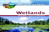 Wetlands (biomes of the earth)