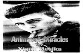 Yigal Mesika - Animated Miracles