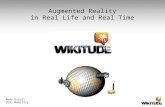 Real Time, Real Life, Virtual World