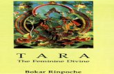 Tara Bokar Rinpoche Tara the Feminne Divine