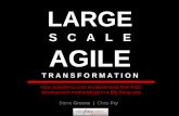 Salesforce.com Agile Transformation - Agile 2007 Conference