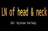 Ln of head & neck