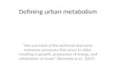 Urban metabolism and sustainability: introductory lecture