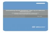 Virtualizing Oracle Db10g 11g Vmware on Infrastructure