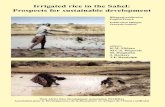 Irrigated rice in the Sahel: Prospects for sustainable development