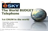 E sky enum presentation for prospects and customers slideshow v20101128
