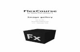 Flex Course - Image Gallery en - V1.0