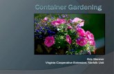 Container gardening, stormer