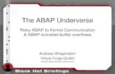 The ABAP Under Verse - Slides