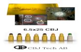CBJ Tech AB- 6.5x25 CBJ