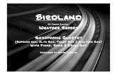 Birdland - Sax Quartet