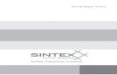 Sintex Annual Report_2010-11