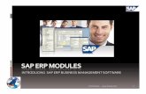 Sap ERP Modules Introduction