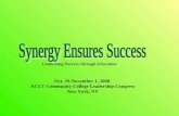 Synergy Ensures Success Presentation