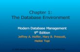 DBMS Chapter 1