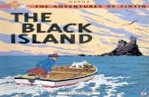 07 Tintin and the Black Island