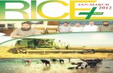 Rice Plus Magazine January,March 2012 5th Issue,Lahore,Pakistan