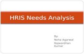 HRIS Needs Analysis