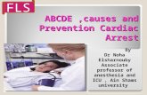 Cme Lecture Abcde and Recognition of Critically Ill Patient