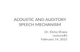Lecture 3 Acoustic Auditory Phonetics